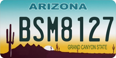 AZ license plate BSM8127