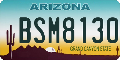 AZ license plate BSM8130