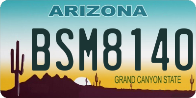 AZ license plate BSM8140