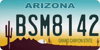 AZ license plate BSM8142