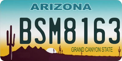 AZ license plate BSM8163