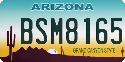 AZ license plate BSM8165