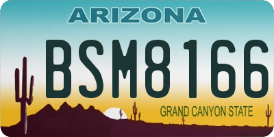 AZ license plate BSM8166