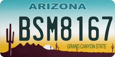 AZ license plate BSM8167