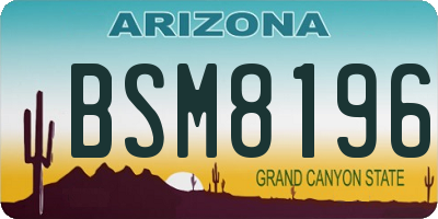 AZ license plate BSM8196