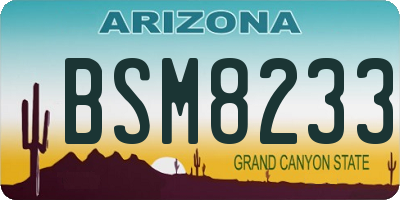 AZ license plate BSM8233