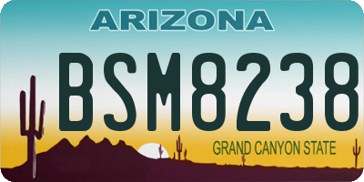 AZ license plate BSM8238