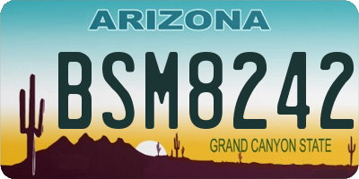 AZ license plate BSM8242