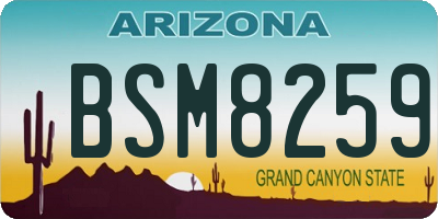 AZ license plate BSM8259
