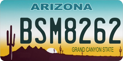 AZ license plate BSM8262