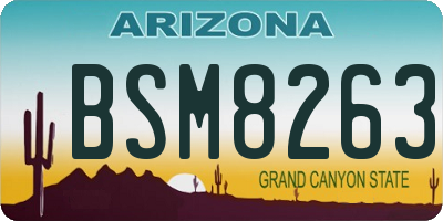AZ license plate BSM8263
