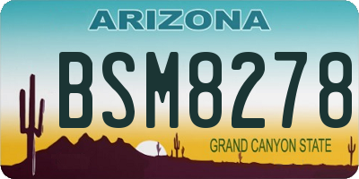 AZ license plate BSM8278