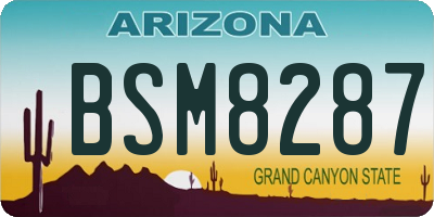 AZ license plate BSM8287