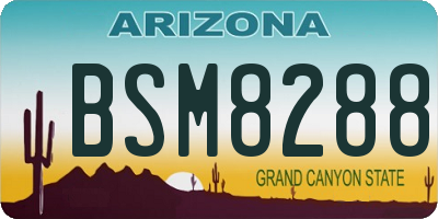 AZ license plate BSM8288