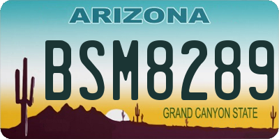 AZ license plate BSM8289
