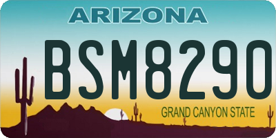 AZ license plate BSM8290