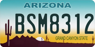 AZ license plate BSM8312