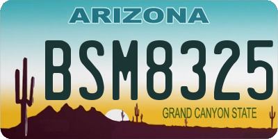 AZ license plate BSM8325
