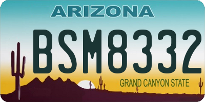 AZ license plate BSM8332