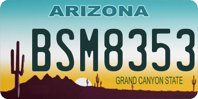 AZ license plate BSM8353