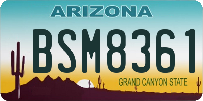 AZ license plate BSM8361