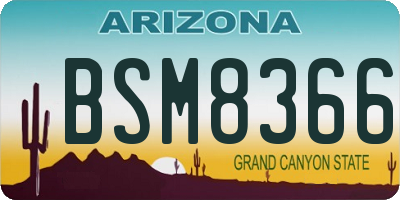 AZ license plate BSM8366