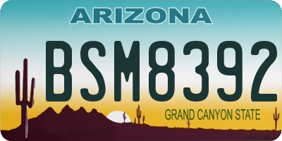 AZ license plate BSM8392