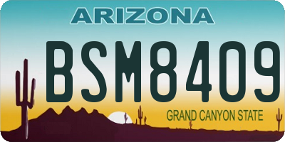 AZ license plate BSM8409