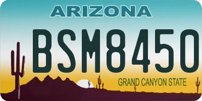AZ license plate BSM8450