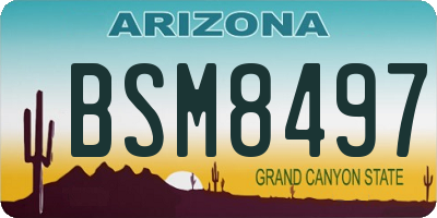 AZ license plate BSM8497