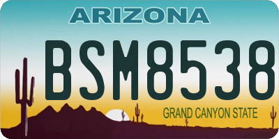 AZ license plate BSM8538