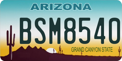 AZ license plate BSM8540