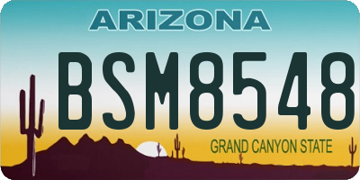 AZ license plate BSM8548