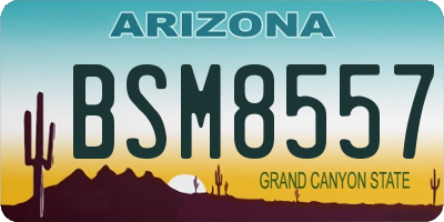 AZ license plate BSM8557