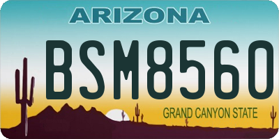 AZ license plate BSM8560