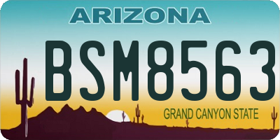 AZ license plate BSM8563