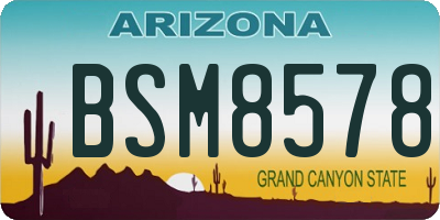 AZ license plate BSM8578