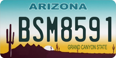 AZ license plate BSM8591