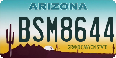 AZ license plate BSM8644