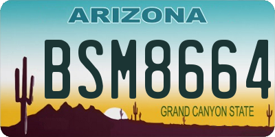 AZ license plate BSM8664