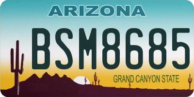 AZ license plate BSM8685