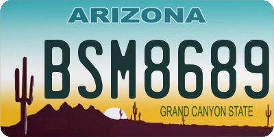 AZ license plate BSM8689