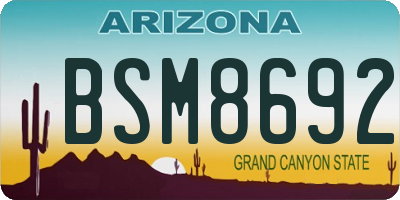 AZ license plate BSM8692