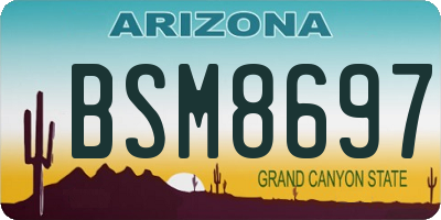 AZ license plate BSM8697