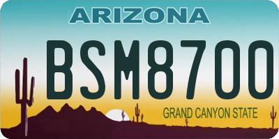 AZ license plate BSM8700