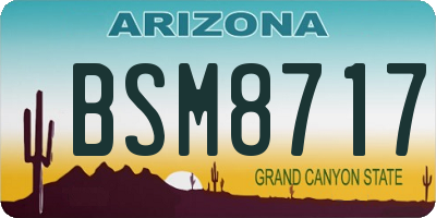 AZ license plate BSM8717