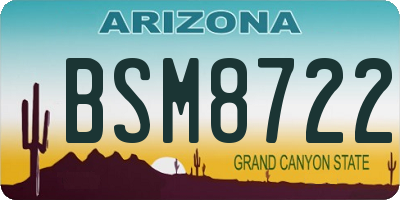 AZ license plate BSM8722