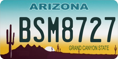 AZ license plate BSM8727