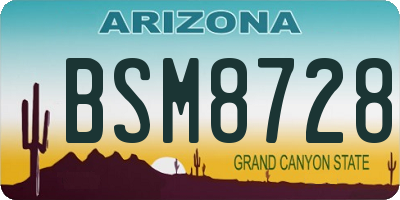 AZ license plate BSM8728