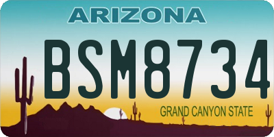 AZ license plate BSM8734